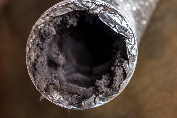 Best Affordable HVAC Duct Cleaning  in Allendale, MI