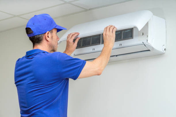 Best Ductwork Cleaning Services  in Allendale, MI