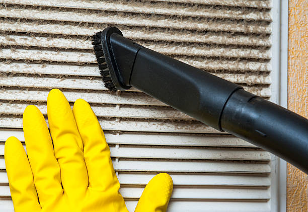 Best Affordable Duct Cleaning Services  in Allendale, MI